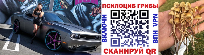 Купить  Курильск  Псилоцибиновые грибы MAGIC MUSHROOMS 